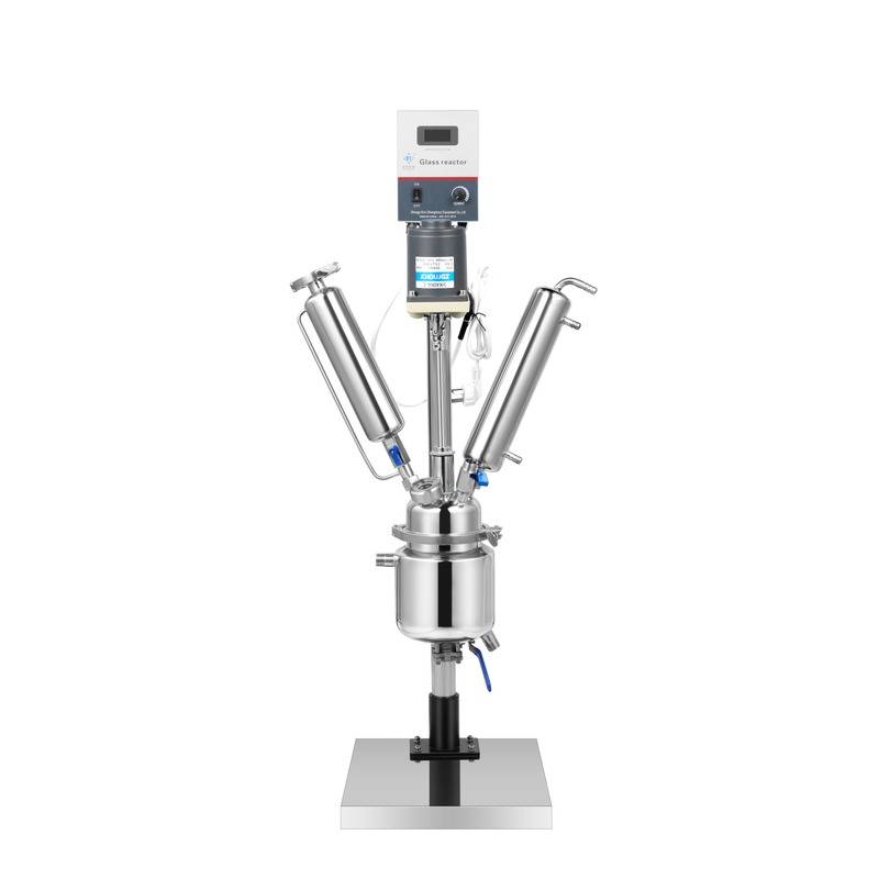BSF-2L Double-layer Stainless Steel Reactor